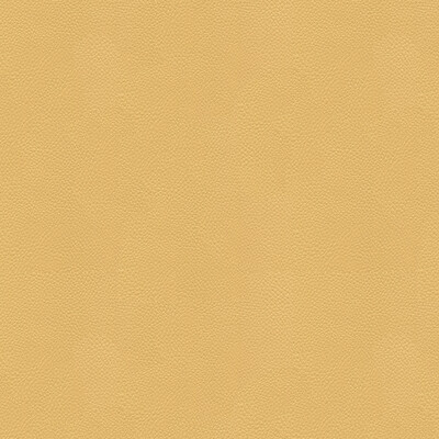 Kravet Couture SIDE KICK.16.0 Side Kick Upholstery Fabric in Beige , Beige , Croissant